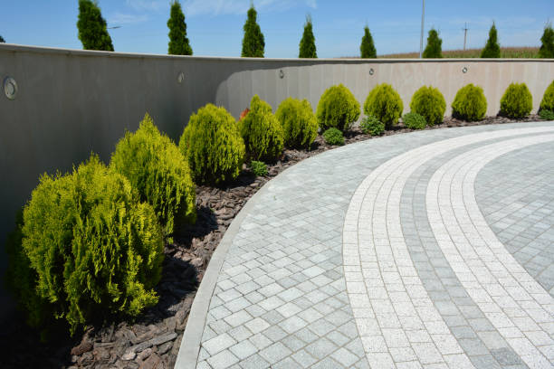 Best Driveway Pavers Near Me  in Lake Montezuma, AZ